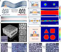 Multi-stimulus perception and visualization by an intelligent liquid metal-elastomer architecture.