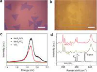 Modulating Photoluminescence of Monolayer Molybdenum Disulfide by Metal-Insulator Phase Transition in Active Substrates. 